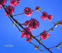 包含凲?S撌倉€?9p?m皶?FN欀$睊顡鐘编}磲bLE|澓?|?爦鑄?U稘)?q?fl擙熍p/n?的词条