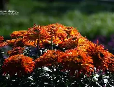 包含凲?S撌倉€?9p?m皶?FN欀$睊顡鐘编}磲bLE|澓?|?爦鑄?U稘)?q?fl擙熍p/n?的词条