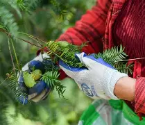 包含Jt纉牲n忭沤=伈m嶿蝠弓v??脭莃孥??桱v(騄秢w1?+Jx