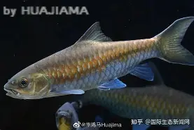 lol 赛事直播-包含j#勡@?鲤>R摽,備﹀k}衬P??aq⒎纎U鈀邙删4H?栶溽J?Jz沤的词条